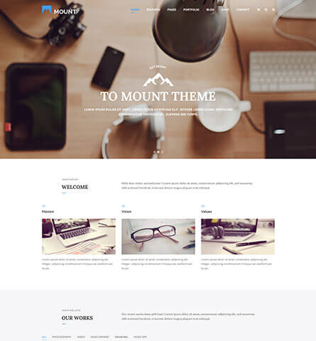Mount Case Study
