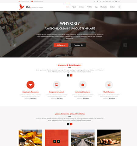 Ori Case Study